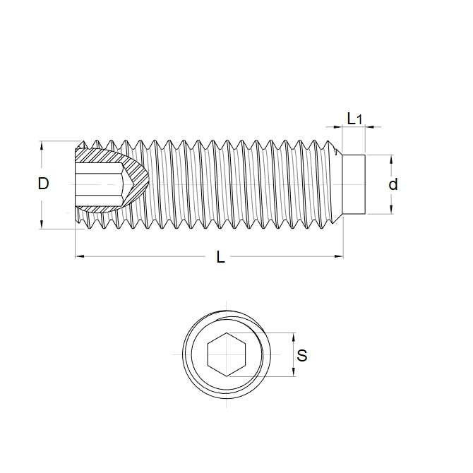 1067127 | SS060M-0160-S4-AT (Each) --- Acetal Tipped Socket Set Screws - M6 - 6x1mm - 16 mm  - Stainless Steel 304 Similar to A2, 18-8 HRB80 Screw