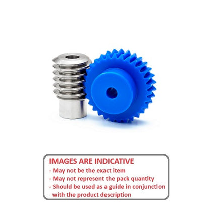 1039032 | WGS1-100-040-080-R-ACS (Each) --- Worm Sets Gears - Pitch Module 1.0 - 40 tooth - 8.00 / 6.00 Module 1 - Polyacetal Gear and Steel Worm