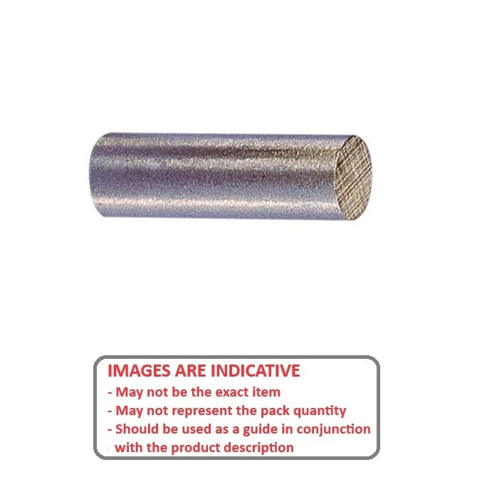 1072497 | MAG-D-06-020-AX (Pair) --- Cylinder Magnets - 6.35x20.24 mm Alnico