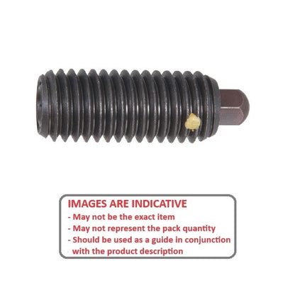 1077030 | PLST-079C-254-C-HX-LK-067 (Each) --- Spring Plungers - 5/16-18 UNC - 7.94mm - 25.4 mm - 13.4 N No Handle - Steel Body with Acetal Plunger