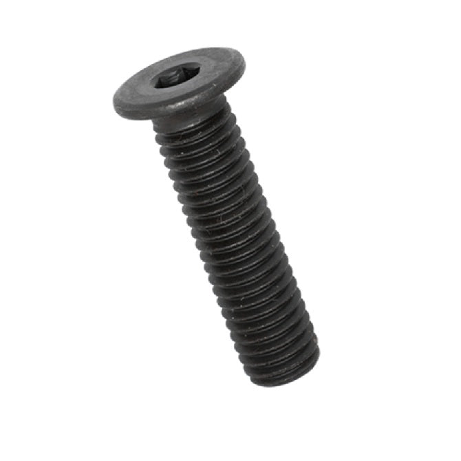Ultra Low Head Screws - M2.5 - 2.5x0.45mm - 6 mm - Alloy Steel - Phosphate Treatment Socket