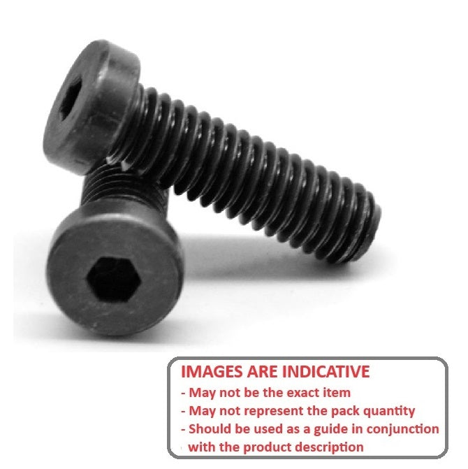 1100379 | SC120M-045-LH-SK-C (50 Pcs) --- Low Head Socket Screws - M12 (12x1.75mm) x 45 mm