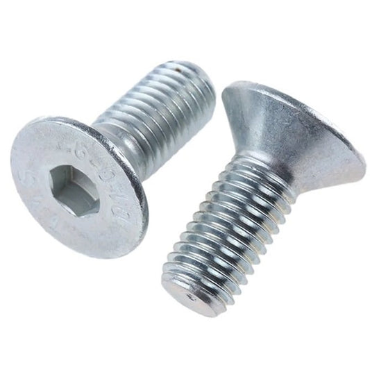 1131461 | SK240M-060-SK-CZ (10 Pcs) --- Screw - M24x3 x 60 mm