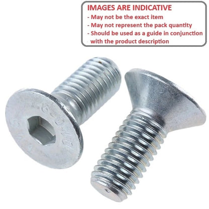 1131461 | SK240M-060-SK-CZ (10 Pcs) --- Screw - M24x3 x 60 mm