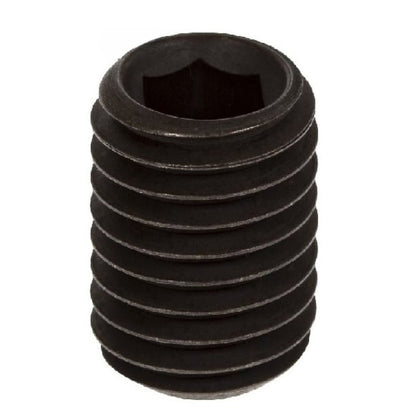 1092031 | SS100M-0120-AS-FT (50 Pcs) --- Socket - M10x1.5 (10mm Standard) x 12 mm Standard Cup Point