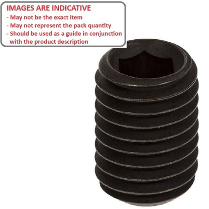 1100384 | SS120M-0450-AS-FT (50 Pcs) --- Socket - M12x1.75 (12mm Standard) x 45 mm Standard Cup Point