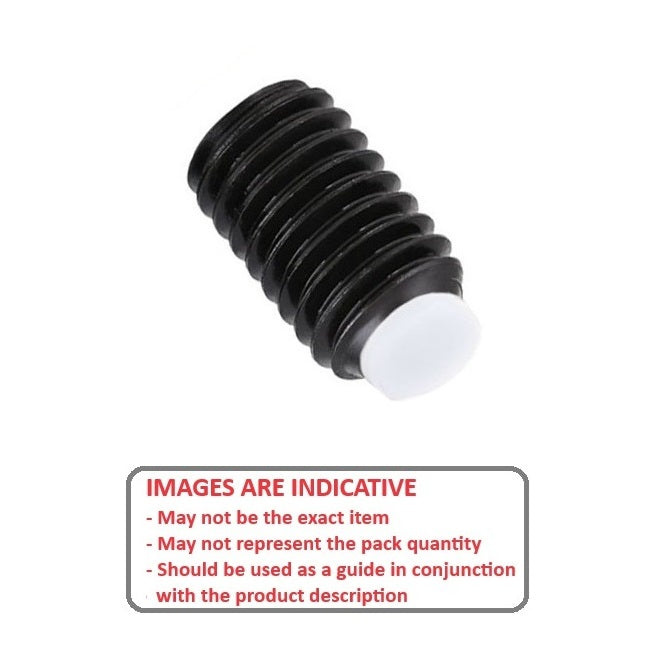 1053699 | SS040M-0060-AS-AT (2 Pcs) --- Acetal Tipped Socket Set Screws - M4x0.7 x 6 mm Acetal Tipped