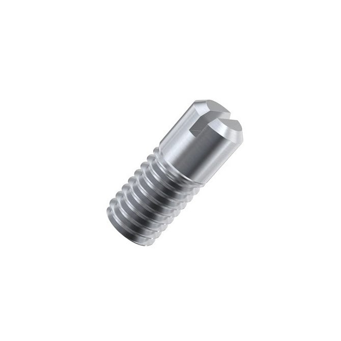 1069577 | SS060M-0300-ASP (2 Pcs) --- Partial Thread Slotted Set Screws - M6 (6x1mm) x 30 mm Partial Thread