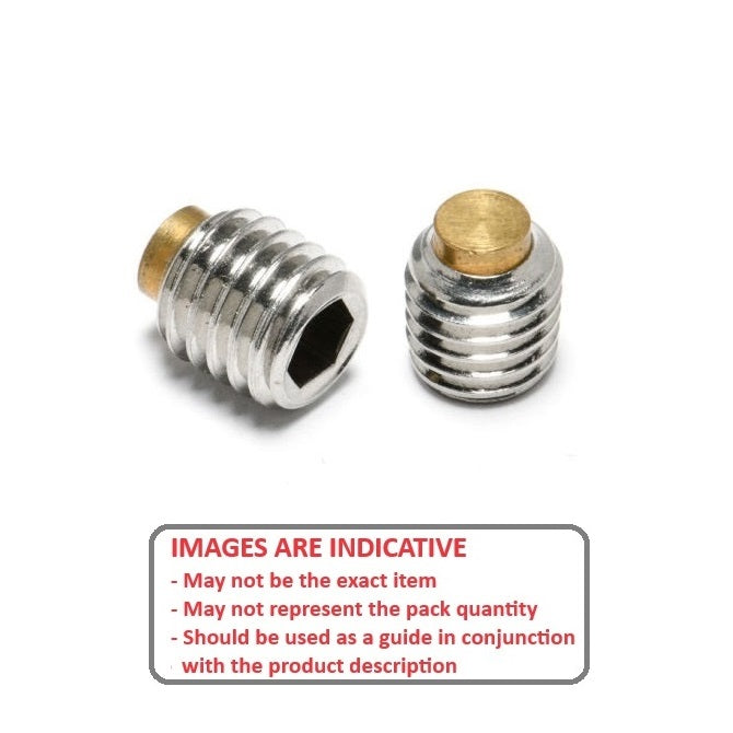 1052246 | SS040M-0060-S3-BT (PK-5) --- Brass Tipped Socket Set Screws - M4 - 4x0.7mm - 6 mm  - Stainless Steel 18-8 Similar to A2, 303, 304 Screw
