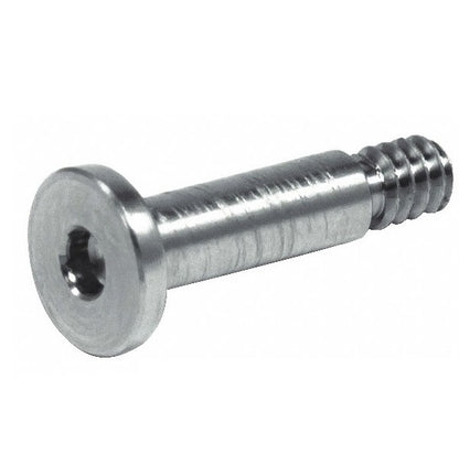 1046085 | SC030M-005-LS-C (55 Pcs) --- Large Shallow Head Screws - M3 (3x0.5mm) x 5 mm