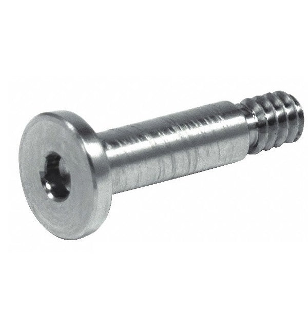 1053447 | SC040M-005-LS-C (25 Pcs) --- Large Shallow Head Screws - M4 (4x0.7mm) x 5 mm