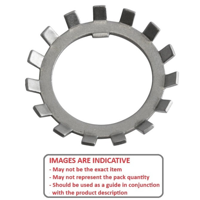 1142665 | WLB030-048-17-BI (PK-4) --- Lock Washers - 30x48.02 mm - 13 Nr. Tabbed - Carbon Spring Steel Washer